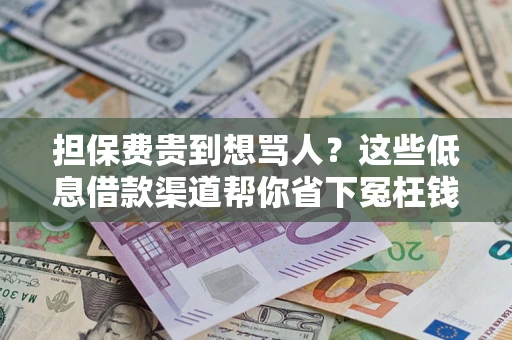 北京担保费贵到想骂人？这些低息借款渠道帮你省下冤枉钱