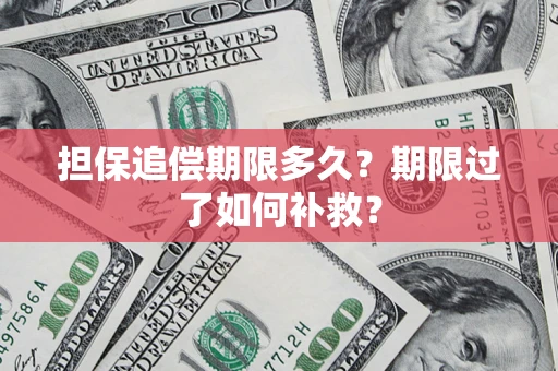 北京担保追偿期限多久？期限过了如何补救？