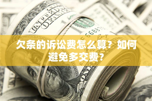 北京欠条的诉讼费怎么算？如何避免多交费？